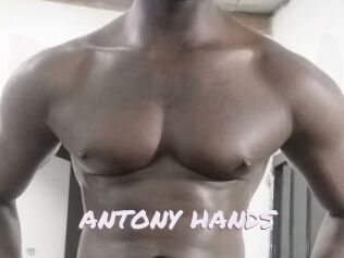 ANTONY_HANDS