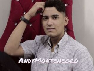 AndyMontenegro