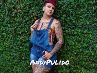 AndyPulido