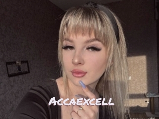 Accaexcell