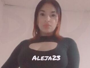 Aleja23