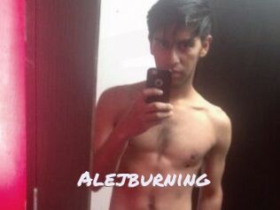 Alejburning