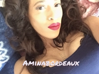 Aminabordeaux