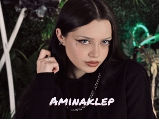 Aminaklep