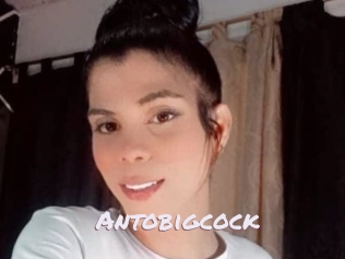 Antobigcock