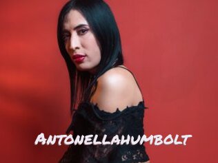 Antonellahumbolt