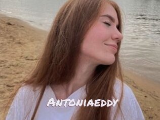 Antoniaeddy