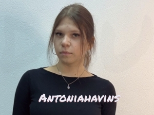 Antoniahavins