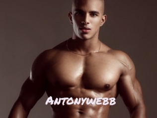 Antonywebb