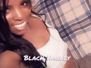 Black_Harley