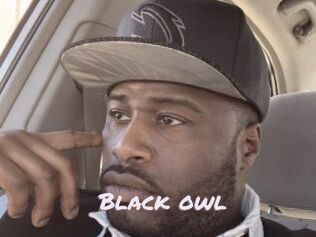 Black_owl