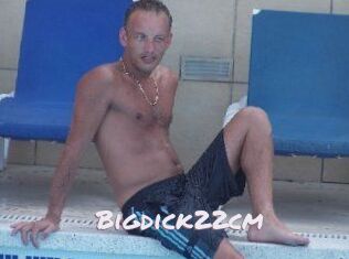 Bigdick22cm