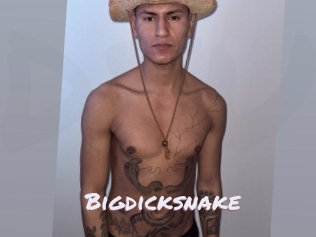 bigdicksnake Deutsche Sexcams