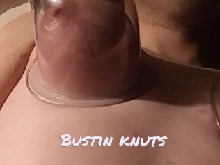 Bustin_knuts