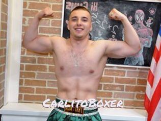 CarlitoBoxer