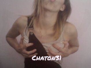 Chaton31