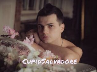 CupidSalvadore