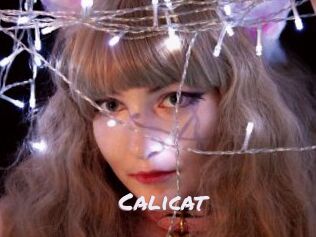 Calicat