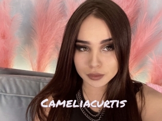 Cameliacurtis