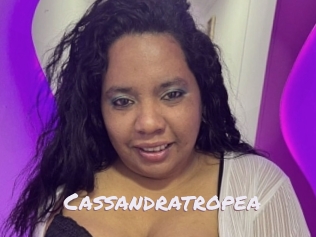 Cassandratropea