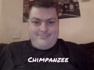 Chimpanzee