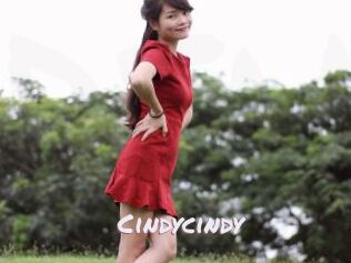 Cindycindy