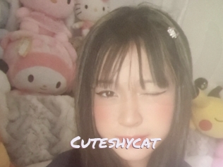 Cuteshycat