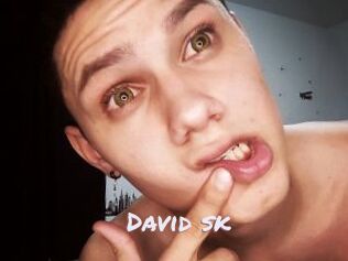 David_sk