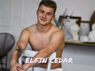 ELFIN_CEDAR