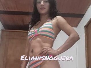 ElianisNoguera