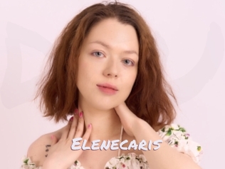 Elenecaris