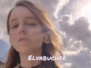 Elvabucher