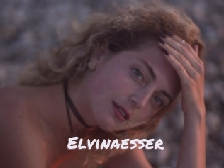 Elvinaesser