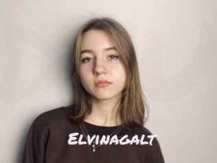 Elvinagalt