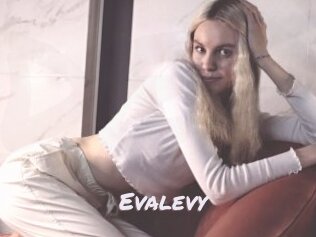 Evalevy