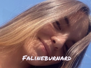 Falineburnard