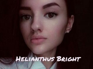 Helianthus_Bright