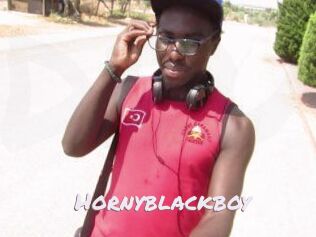 Hornyblackboy