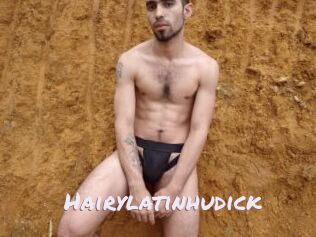 Hairylatinhudick