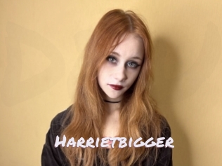 Harrietbigger