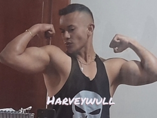 Harveywull