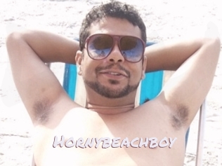 Hornybeachboy