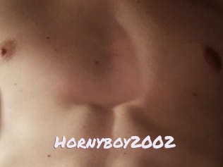 Hornyboy2002