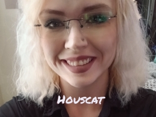 Houscat