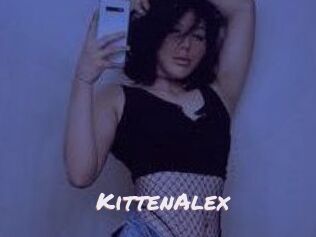 KittenAlex