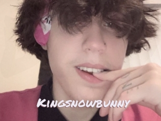 Kingsnowbunny