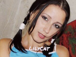 Lily_Cat_