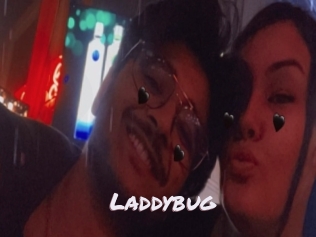 Laddybug