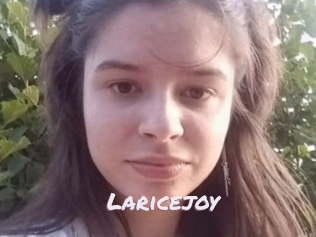 Laricejoy