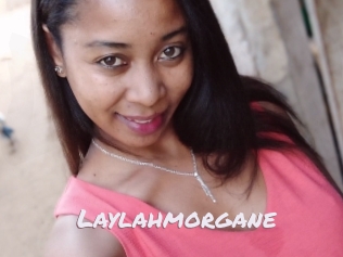 Laylahmorgane